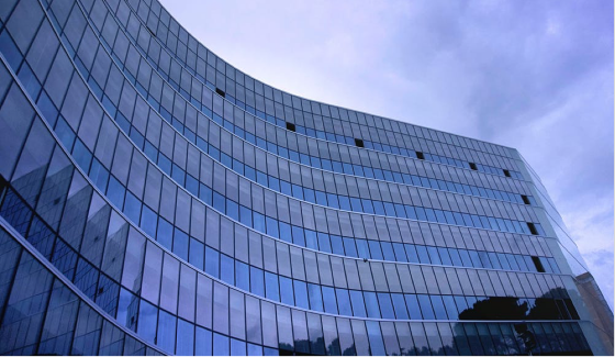 为什么选择我们